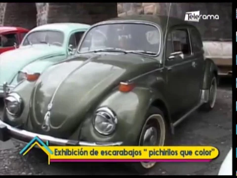 Exhibición de escarabajos Pichirilos que color