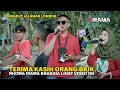 Download Lagu Dawai Asmara Duet Nia Dirgha Feat Rian Modjoe Bikin Rhoma Irama Bahagia Dengan Irama Dopang