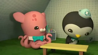 اوكتونوتس جراد البحر بدون موسيقى 