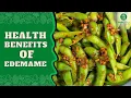 Download Lagu Health Benefits Of Edamame