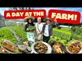 A DAY AT THE FARM Team Chef RV