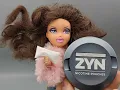 Zyn Metal Can Unboxing and Bratz Dolls to resell on eBay for huge profits
