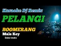 Download Lagu KARAOKE DJ PELANGI BOOMERANG MALE KEY