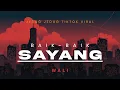 Download Lagu DJ BAIK BAIK SAYANG WALI SLOW BASS TERBARU VIRAL TIKTOK