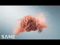 SANE MD Vitaae Throat Phlegm Cough Solution