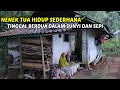 Download Lagu PERJUANGAN HIDUP‼️ NENEK TANGGUH HIDUP BERDUA DI DALAM HUTAN TANPA TETANGGA