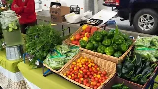 Trustonallah  Trustonallah