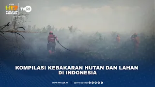 Kompilasi Kebakaran Hutan Dan Lahan Di Indonesia