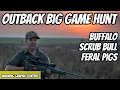 Download Lagu Hunting Buffalo Scrub Bull and Feral Pigs in the Outback | Dangerous Game | Territory Lodge Safaris