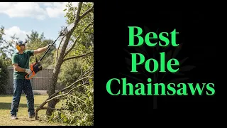 5 Best Pole Chainsaws of 2025 Tested Ranked