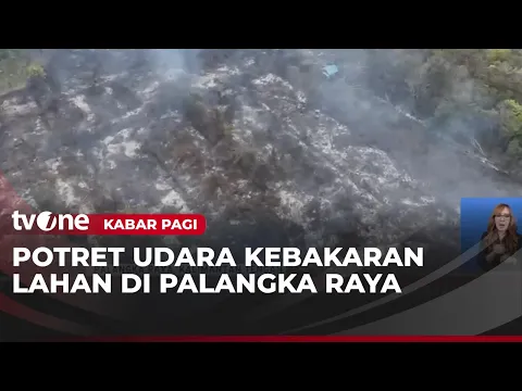 Petugas Gabungan Bertaruh Nyawa Padamkan Karhutla di Palangka Raya