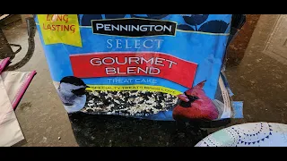 Lowes Loop Pennington Gourmet Blend Bird Seed