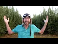 The Apple Picking Song 🍎 | Apple Orchard | Danny Go! Songs For Kids