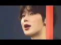 Download Lagu Enhypen Sunoo - I Like You The Most ( AI Cover English Version)
