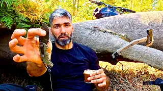 تحدي البقاء في الغابة بناء كوخ وصيدواستكشاف 