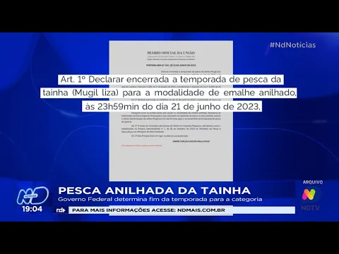 Pesca anilhada da tainha: Governo Federal determina fim da temporada para a categoria