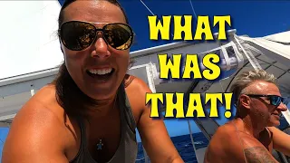 Sailing through Sea World…What was that?