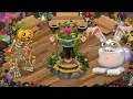 How to breed viveine on seasonal shanty msm