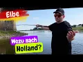 Download Lagu Die Fische in der Elbe sind gut drauf! Angeln auf Raubfische