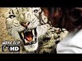 Download Lagu Leopard Attack Scene | KRAVEN THE HUNTER (2024) Movie CLIP HD