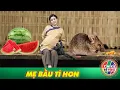 Download Lagu CỔ TÍCH HAY 2025 | MẸ BẦU TÍ HON | CỔ TÍCH VIỆT NAM MỚI NHẤT 2025