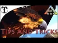 Fast Griffin Taming Guide Ark Survival Evolved Tips and Tricks