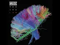 Muse - Madness
