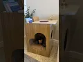 Vídeo do produto