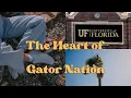 Heart of Gator Nation A Vibrant Tour of UF Campus