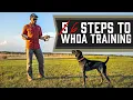 The Complete Guide To Whoa Training - Every Single Step