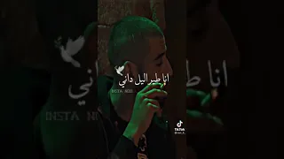 ديدين كانون 16 اغنية خطيني ونعيش وحداني 