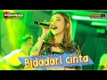 Download Lagu SYAHIBA SAUFA|| BIDADARI CINTA ||COVER ||  MAHADEWA MUSIC LIVE CENDONO GENTENG