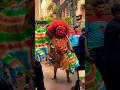 Download Lagu Majipa Lakhe Aaju \u0026 Jhyalincha During Indra Jatra 2080 #cultureofnepal #newariculture #shorts #jatra