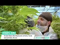 Curaleaf CURLF Opens New Dispensaries in Ocala Florida and Scottsdale Arizona