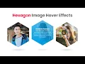 CSS Hexagon Image Hover Overlay CSS Responsive Design