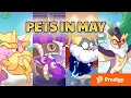 Pet of the Week - May 2026