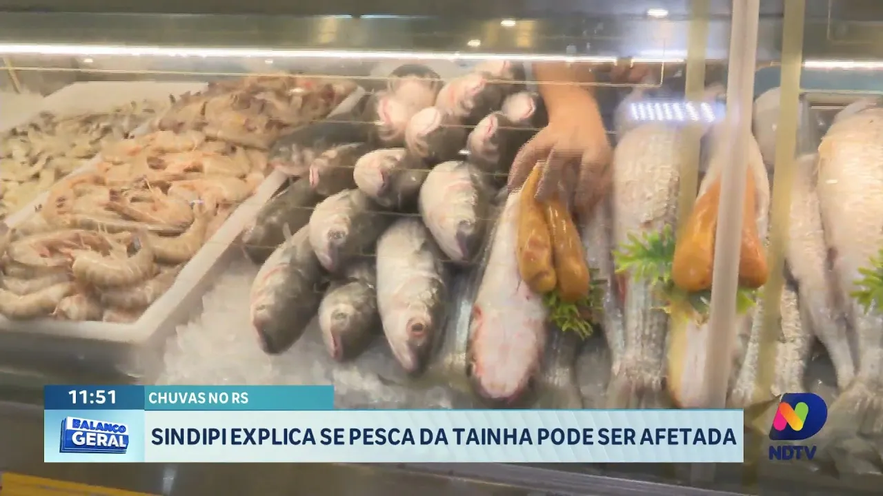 Preocupações dos pescadores catarinenses: impacto das chuvas do RS na pesca da tainha