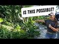 Download Lagu Backyard Tour of a Florida Landscape Designer | Plants That Last!