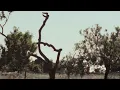 Blank & Jones feat. Zoe Durrant - Sign Your Name (Official Video)