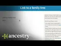 AncestryDNA How To AncestryDNA Results To Your Ancestry Tree Ancestry Academy Ancestry
