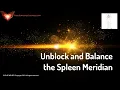 Download Lagu Unblock and Balance the Spleen Meridian - Energy/Frequency Healing Music