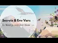 Secrets and Environment Variables in Next js and Now