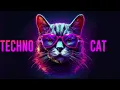 Download Lagu TECHNO RADIO 💣 NON STOP RAVE