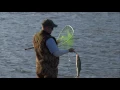 Stocking Ohio Waterways