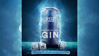 NÃO PAREI DE TOMAR GIN - MC RIQUINHO , MC WIK, MC MURUILO RP E DJ V7