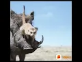 Download Lagu The Lion King - Timon \u0026 Pumbaa Saves Simba Malayalam dubbed Scene
