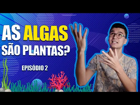 Download MP3 As algas são plantas? | Episódio 2