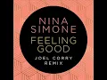 Nina Simone - Feeling Good (JOEL CORRY Extended Remix)