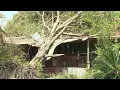 Disaster strikes a Live Oak homeowner still recovering