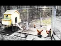 The BEST CHICKEN COOP For Backyard Chickens